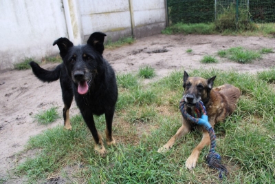 HEROS et SPIKE